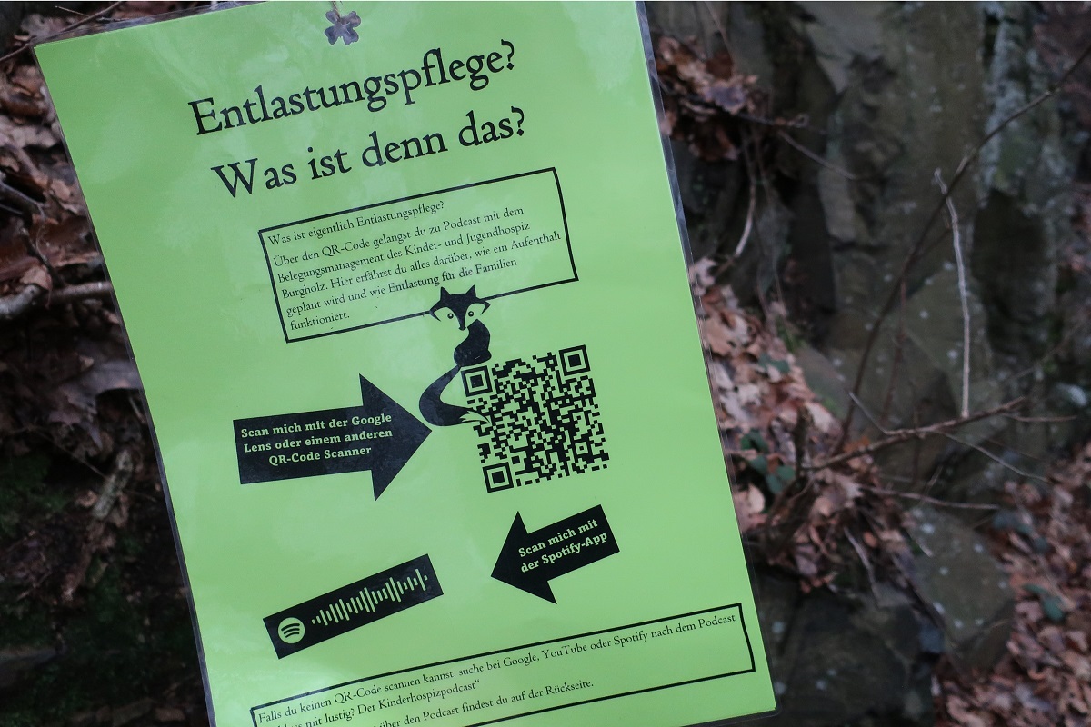 Bild6